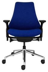 Herman Miller Sayl Blue Comfort