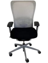 Haworth Zody Grey